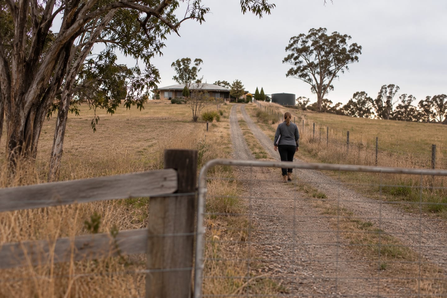 A council field officer walking alone up a long rural driveway toward a property